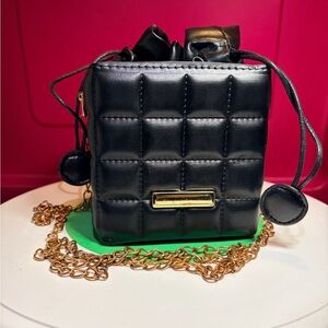 Elegant Black Quilted Mini Bag
